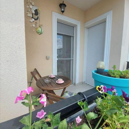 Paula Apartment Dumbravita  Dış mekan fotoğraf