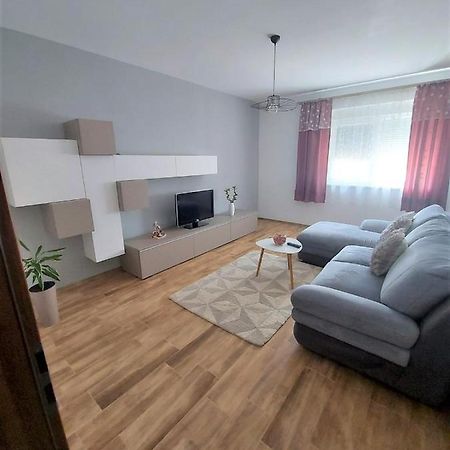 Paula Apartment Dumbravita  Dış mekan fotoğraf